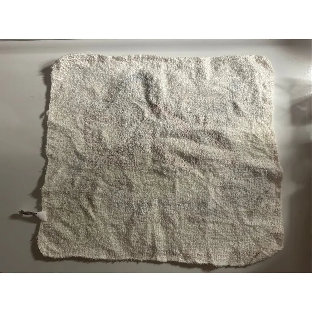 Disney Vintage 100 Years of Magic Rag 11” x 9.5”